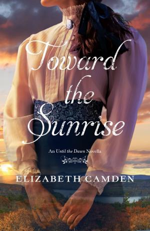 Cover of the book Toward the Sunrise by Dennis P. Hollinger