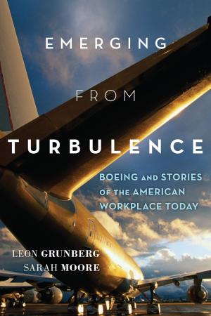 Cover of the book Emerging from Turbulence by James E. Goodby