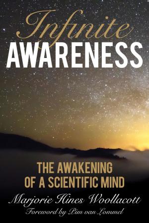 Cover of the book Infinite Awareness by Grigory Ioffe, Vitali Silitski Jr.