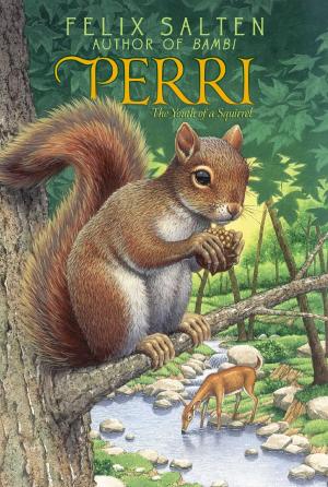 Cover of the book Perri by Carolyn Keene