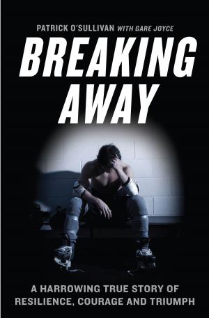Cover of the book Breaking Away by Warren Mackenzie