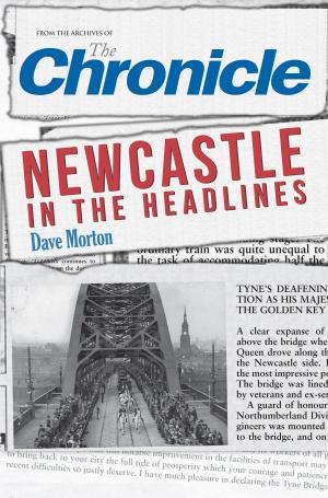 Cover of the book Newcastle in the Headlines by Humphrey Phelps