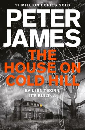 Cover of the book The House on Cold Hill by Bruce Diamond