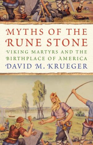 Cover of the book Myths of the Rune Stone by David J. Karjanen
