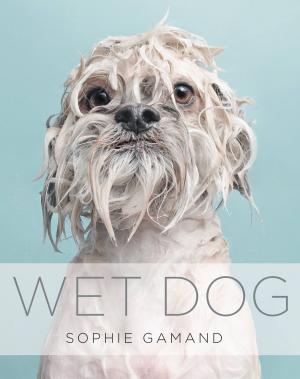 Cover of the book Wet Dog by Margaret Helfgott, Tom Gross