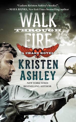 Cover of the book Walk Through Fire by HoneyB
