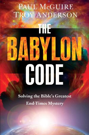 Book cover of The Babylon Code