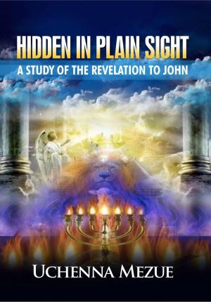 Cover of the book Hidden In Plain Sight: A Study of the Revelation to John by Baroness Orczy