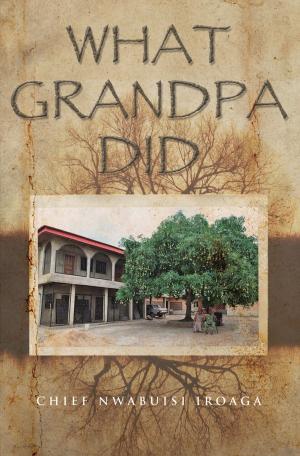 Cover of the book What Grandpa Did by John Visser