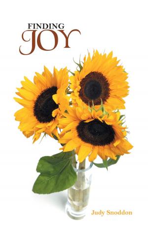 Cover of the book Finding Joy by Bushi Xhindi