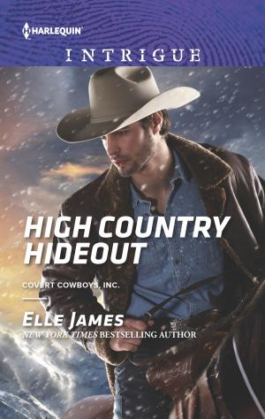 Cover of the book High Country Hideout by Cathy Williams
