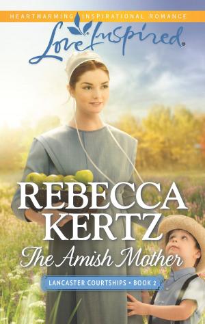 Cover of the book The Amish Mother by Shirlee McCoy, Terri Reed