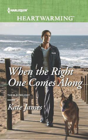 bigCover of the book When the Right One Comes Along by 