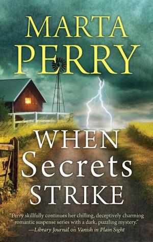 Cover of the book When Secrets Strike by Delores Fossen