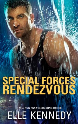Cover of the book Special Forces Rendezvous by Mark David Abbott