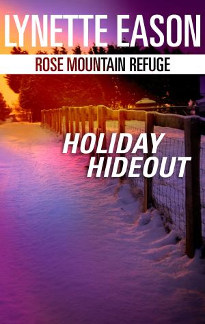 Cover of the book Holiday Hideout by Liz Tyner