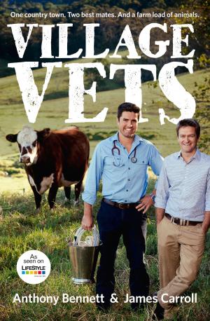 Cover of the book Village Vets by Marg Carroll