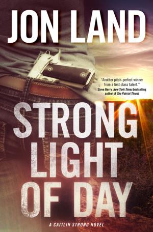 Cover of the book Strong Light of Day by Jessica Brody