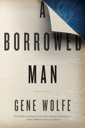 Cover of the book A Borrowed Man by John Chu
