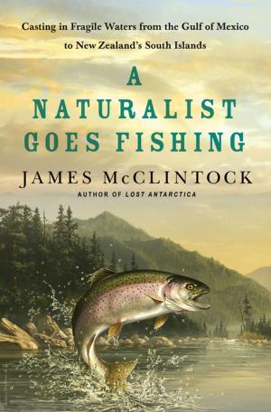 Cover of the book A Naturalist Goes Fishing by Lindsey Davis