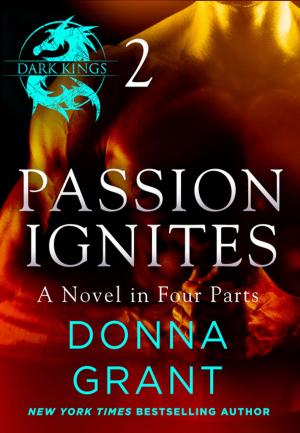 bigCover of the book Passion Ignites: Part 2 by 