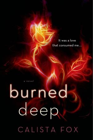 Cover of the book Burned Deep by Jo Bannister