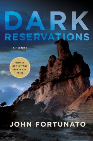 Cover of the book Dark Reservations by Rick Lax