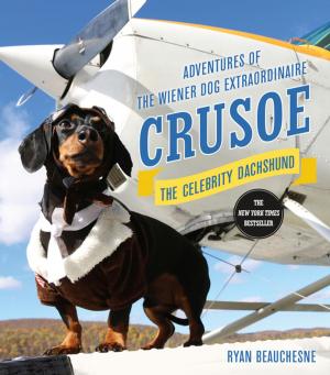 Cover of the book Crusoe, the Celebrity Dachshund by Steve Hamilton