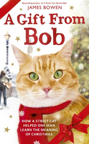 Cover of the book A Gift from Bob by Wendy Welch