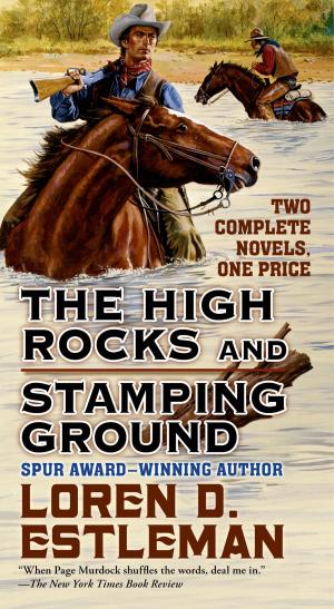 bigCover of the book The High Rocks and Stamping Ground by 