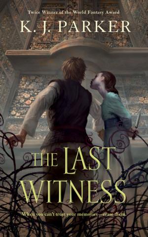 Cover of the book The Last Witness by Cathy Clamp, C.T. Adams