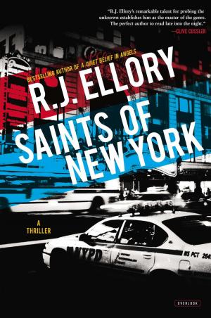 Cover of the book Saints of New York by Fiona Robinson