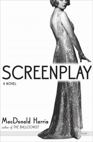 bigCover of the book Screenplay by 