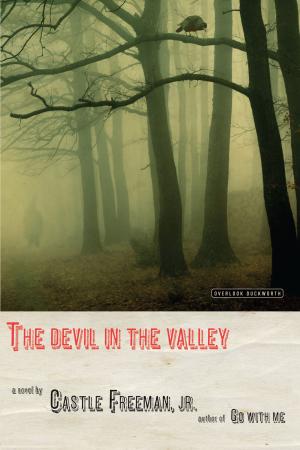 Cover of the book The Devil in the Valley by Hutton Wilkinson, Tim Street-Porter