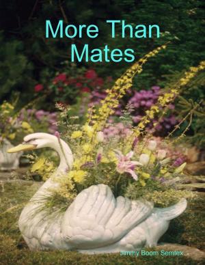 Cover of the book More Than Mates by Daniel Blue
