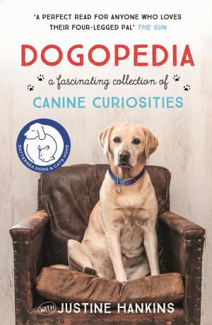 bigCover of the book Dogopedia by 