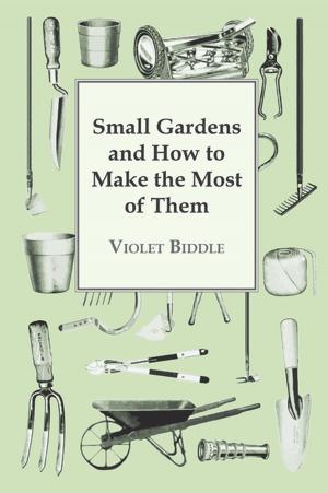 Cover of the book Small Gardens and How to Make the Most of Them by Nancy Graves Cabot