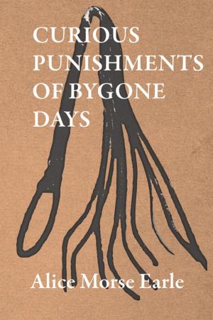 Cover of the book Curious Punishments of Bygone Days by Percy Bysshe Shelley