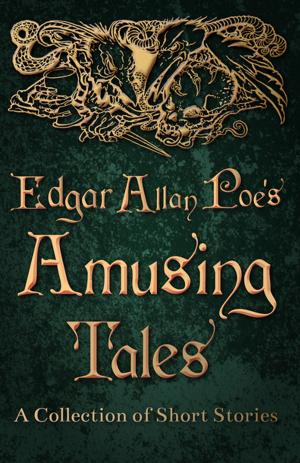 Book cover of Edgar Allan Poe's Amusing Tales - A Collection of Short Stories