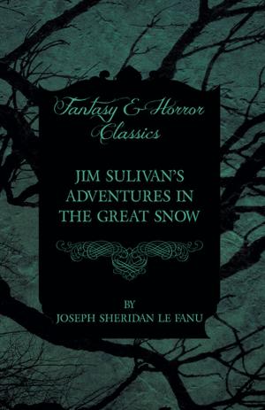 Book cover of Jim Sulivan's Adventures in the Great Snow