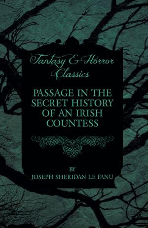 Cover of the book Passage in the Secret History of an Irish Countess by Robert J. S. T. McCartney