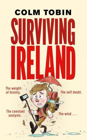 Cover of the book Surviving Ireland by John Man
