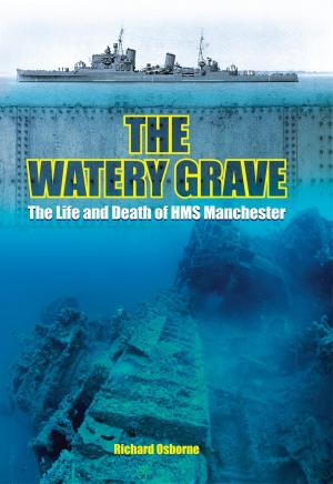 Book cover of The Watery Grave
