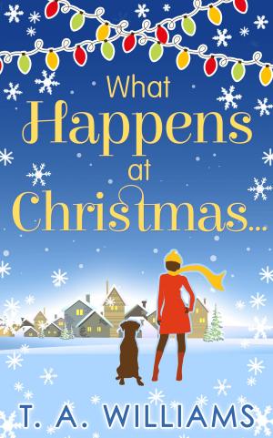 Cover of the book What Happens At Christmas... by A. L. Bird