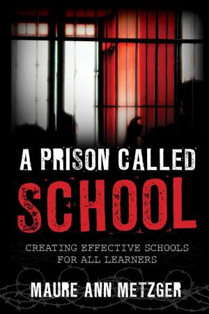 Cover of the book A Prison Called School by Joyce Ann Mercer, Dale P. Andrews, Sally A. Brown, Courtney T. Goto, Richard Osmer, Hosffman Ospino, Don C. Richter, Andrew Root, Katherine Turpin, Claire E. Wolfteich, Stephen Bevans, Tom Beaudoin, Fordham University