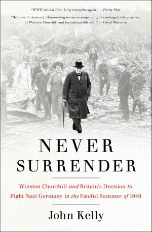 Cover of the book Never Surrender by Peter Robinson