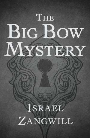 Cover of the book The Big Bow Mystery by Howard Fast
