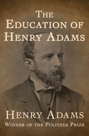 Cover of the book The Education of Henry Adams by Barbara Steiner