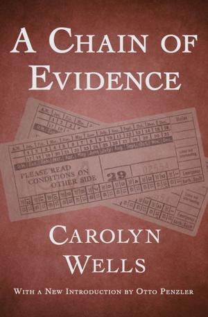 Cover of the book A Chain of Evidence by Markus Nofler