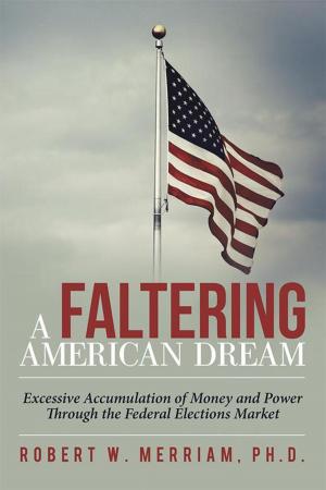 Cover of the book A Faltering American Dream by Dru Dougherty